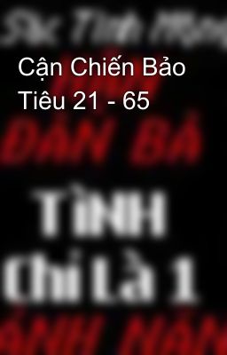 Cận Chiến Bảo Tiêu 21 - 65