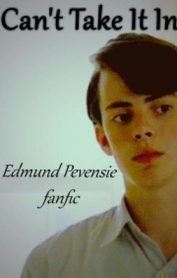 Can't Take It In (Edmund Pevensie fanfic) *ON HOLD*