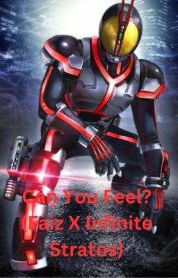 Can You Feel?(Faiz X Infinite Stratos)