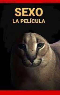 [CANCELADA] Sexo: La película (Saga)