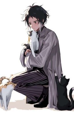 Cảng Mafia cán bộ Akutagawa Ryunosuke