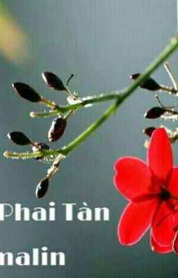 Cánh Hoa Phai Tàn 