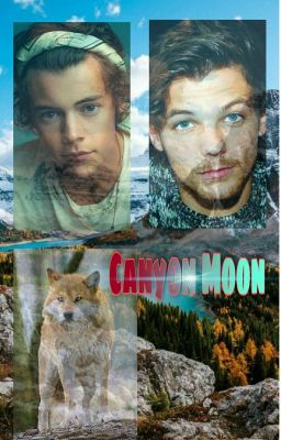 Canyon Moon (larry stylinson, Mpreg)