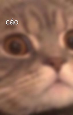 cáo