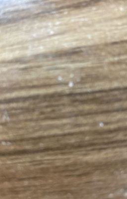 Cao Đồ Thẩm Văn Lang