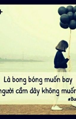 Caption và Stt hay, đểu, chất