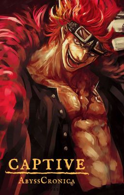 Captive [Eustass Kid x Reader]