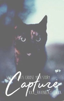 Capture >> Choose Your Story