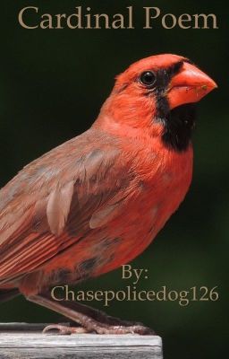 Cardinal Poem 