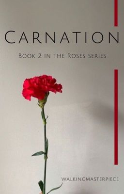 Carnation // [2]