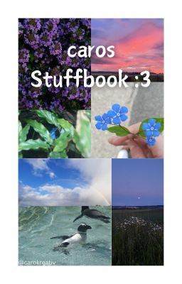 caros Stuffbook :3