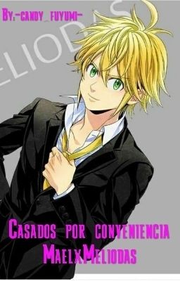 Casados por conveniencia -MaelxMeliodas -