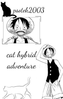 cat hybrid adventure  /one piece ff