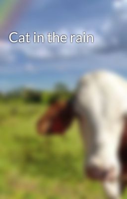 Cat in the rain