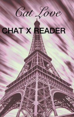 Cat love Chat Noir x reader