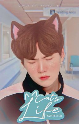 Cat's Life╰► Min Yoongi