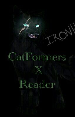 CatFormers X Reader