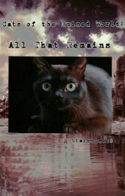 Cats of the Ruined World: All That Remains