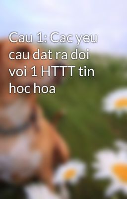 Cau 1: Cac yeu cau dat ra doi voi 1 HTTT tin hoc hoa