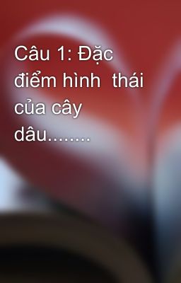 Câu 1: Đặc điểm hình  thái của cây dâu........