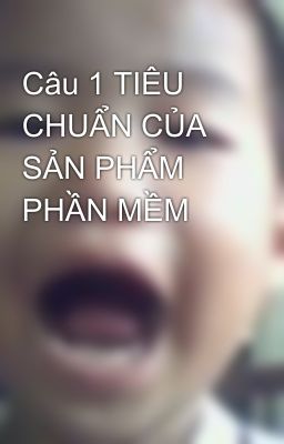 Câu 1 TIÊU CHUẨN CỦA SẢN PHẨM PHẦN MỀM