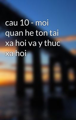 cau 10 - moi quan he ton tai xa hoi va y thuc xa hoi