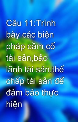 Câu 11:Trình bày các biện pháp cầm cố tài sản,bảo lãnh tài sản,thế chấp tài sản để đảm bảo thực hiện