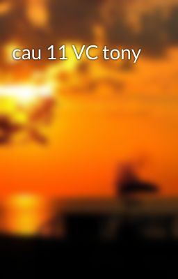 cau 11 VC tony