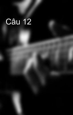 Câu 12