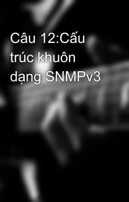 Câu 12:Cấu trúc khuôn dạng SNMPv3