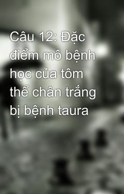 Câu 12: Đặc điểm mô bệnh học của tôm thể chân trắng bị bệnh taura