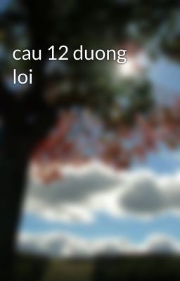 cau 12 duong loi