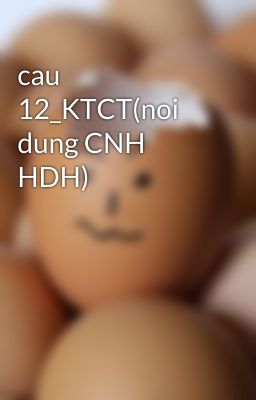 cau 12_KTCT(noi dung CNH HDH)