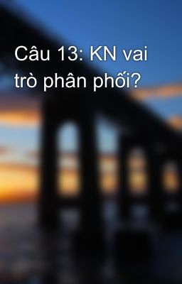 Câu 13: KN vai trò phân phối?