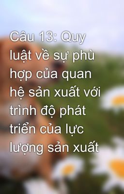 Câu 13: Quy luật về sự phù hợp của quan hệ sản xuất với trình độ phát triển của lực lượng sản xuất