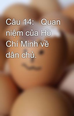 Câu 14:   Quan niệm của Hồ Chí Minh về dân chủ.