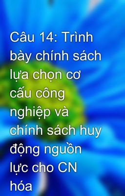 Câu 14: Trình bày chính sách lựa chọn cơ cấu công nghiệp và chính sách huy động nguồn lực cho CN hóa