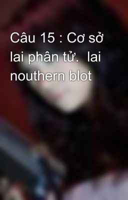 Câu 15 : Cơ sở lai phân tử.  lai nouthern blot