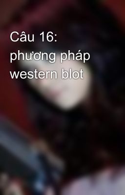 Câu 16:  phương pháp western blot