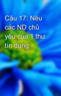 Câu 17: Nêu các ND chủ yếu của 1 thư tín dụng