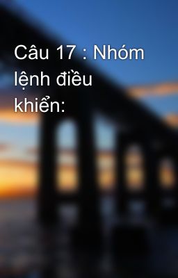 Câu 17 : Nhóm lệnh điều khiển: