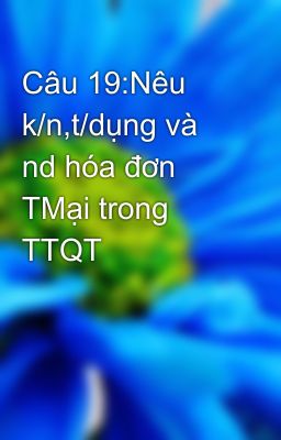 Câu 19:Nêu k/n,t/dụng và nd hóa đơn TMại trong TTQT