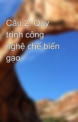 Câu 2: Quy trình công nghệ chế biến gạo