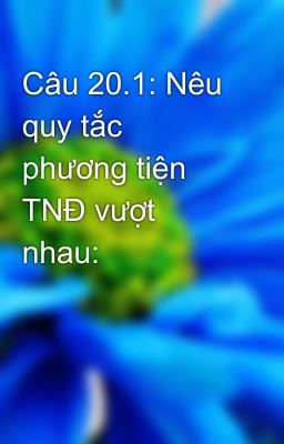 Câu 20.1: Nêu quy tắc phương tiện TNĐ vượt nhau: