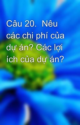 Câu 20.  Nêu các chi phí của dự án? Các lợi ích của dự án?