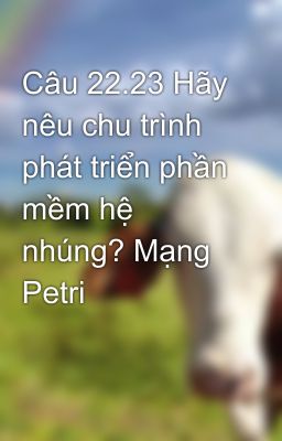 Câu 22.23 Hãy nêu chu trình phát triển phần mềm hệ nhúng? Mạng Petri