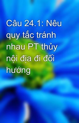 Câu 24.1: Nêu quy tắc tránh nhau PT thủy nội địa đi đối hướng