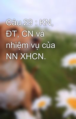 Câu 29 : KN, ĐT, CN và nhiệm vụ của NN XHCN.