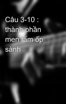 Câu 3-10 : thành phần men tấm ốp sành