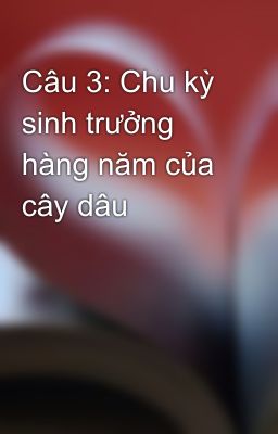 Câu 3: Chu kỳ sinh trưởng hàng năm của cây dâu